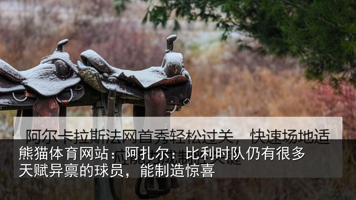 熊猫体育网站：阿扎尔：比利时队仍有很多天赋异禀的球员，能制造惊喜