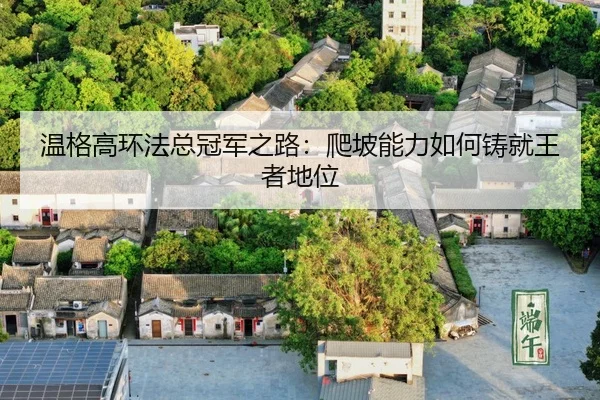wen-ge-gao-huan-fa-zong-guan-jun-zhi-lu-pa-po-neng-li-ru-he-zhu-jiu-wang-zhe-di-wei-3-483.jpg