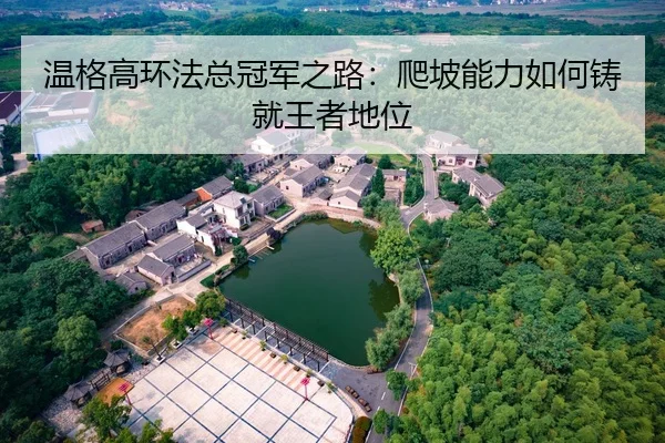 温格高环法总冠军之路：爬坡能力如何铸就王者地位