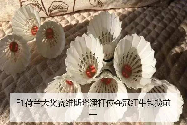he-lan-da-jiang-sai-wei-si-ta-pan-gan-wei-duo-guan-hong-niu-bao-lan-qian-er-2-493.jpg
