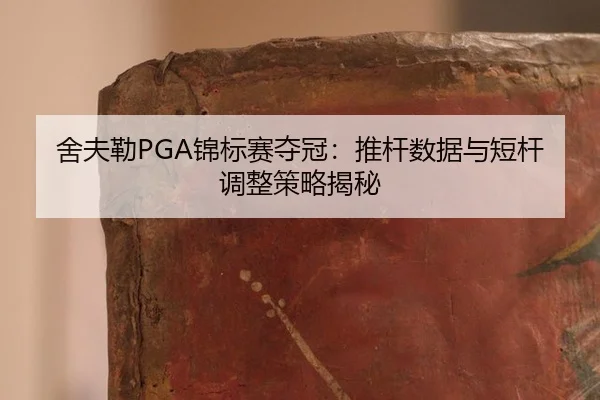 she-fu-lei-jin-biao-sai-duo-guan-tui-gan-shu-ju-yu-duan-gan-tiao-zheng-ce-lve-jie-mi-2-772.jpg