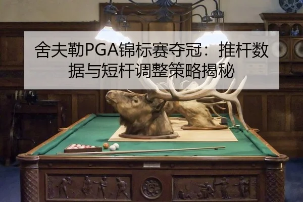 she-fu-lei-jin-biao-sai-duo-guan-tui-gan-shu-ju-yu-duan-gan-tiao-zheng-ce-lve-jie-mi-3-946.jpg