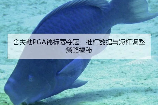 舍夫勒PGA锦标赛夺冠：推杆数据与短杆调整策略揭秘