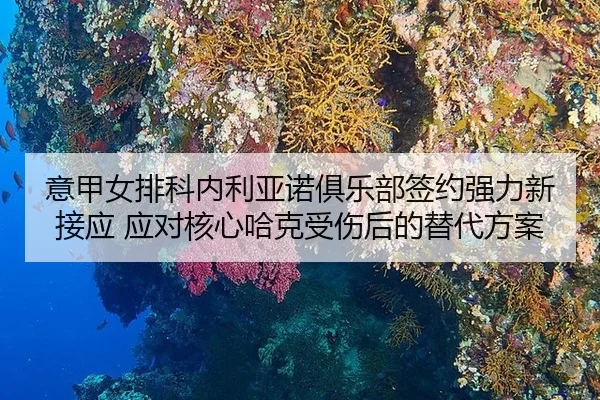 yi-jia-nv-pai-ke-nei-li-ya-nuo-ju-le-bu-qian-yue-qiang-li-xin-jie-ying-ying-dui-he-xin-ha-ke-shou-shang-hou-de-ti-dai-3-980.jpg