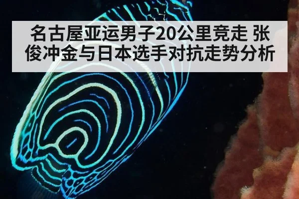 名古屋亚运男子20公里竞走 张俊冲金与日本选手对抗走势分析